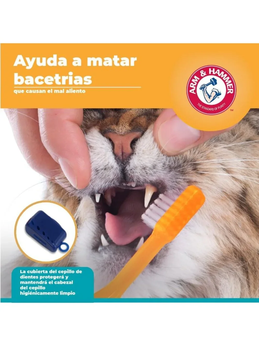 Arm & Hammer Cat Dental Kit - Toothbrush, Toothpaste and Oral Care for Kittens w